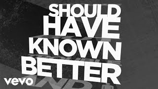 Hinder  Should Have Known Better Official Lyric Video [upl. by Dorcia]