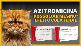 Posso Dar Azitromicina Pro Meu Gato [upl. by Johathan262]