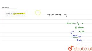 What is cephalisation  11  ANIMAL KINGDOM  BIOLOGY  PRADEEP  Doubtnut [upl. by Scully76]