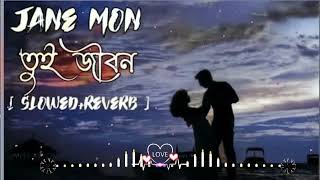 জানে মন তুই জীবন।।jane mon tui jebon।। slowReverb।।Bengali song [upl. by Durwin481]