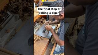 Epic Moment Master Cigar Roller Completes a Perfect Cigar [upl. by Gariepy243]