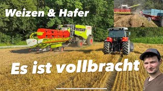 Hafer und Weizen Dreschen  Claas Lexion 5300  Steyr 9095 MT  Steyr 9086  Steyr 968 [upl. by Raual]