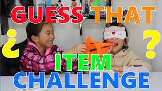 Blindfolded Guess that Item Challenge [upl. by Dorette701]