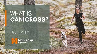 What is canicross Guide to running with your dog [upl. by Evelc]