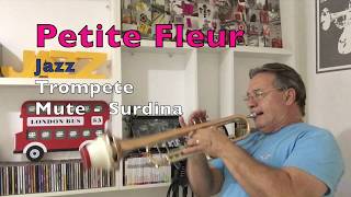 Petite Fleur Trompete Jazz [upl. by Avrit]