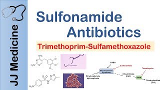 Sulfonamide Antibiotics  Bacterial Targets Mechanism of Action Adverse Effects [upl. by Iblok]