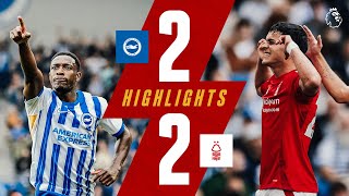 Sosas FIRST Goal 🇵🇾  Brighton 22 Nottingham Forest  Premier League Highlights [upl. by Iuq763]