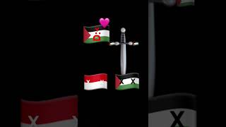 🩷🇵🇸🩷 tries kill 🇵🇸amp🇮🇩🗡️ [upl. by Bowers965]