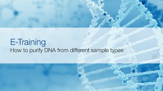 Sample preparation for nucleic acid extraction [upl. by Truc618]