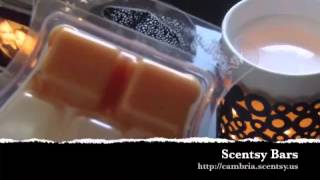 What is a Scentsy Bar How do I use Scentsy Wax [upl. by Jeniece]