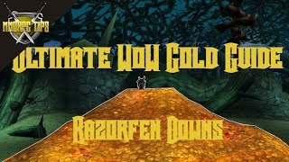 Razorfen Downs Gold Farming  The Ultimate WoW Gold Guide [upl. by Ayotahs]