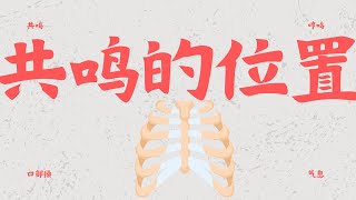 核心第二步：共鳴 ｜共鸣｜发声｜声音练习｜好听的声音｜共鸣示范 [upl. by Calderon616]