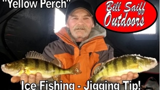 quotJigging Perchquot Chaumont Bay NY  Ice Fishing Tips with Capt Bill Saiff III [upl. by Morita]