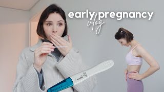 FIRST TRIMESTER VLOG 46 WEEKS  finding out pretest signs morning sickness prep amp symptoms [upl. by Woermer]