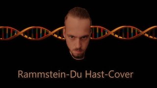 Rammstein  Du Hast Cover [upl. by Tempa]