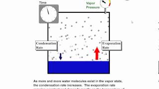 Vapor Pressure Equilibrium Vapor Pressure and Relative Humidity [upl. by Makell60]