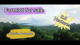 Vlog 37 FARMLOT FOR SALE  ROSARIO BATANGAS  33 HECTARES [upl. by Summons]