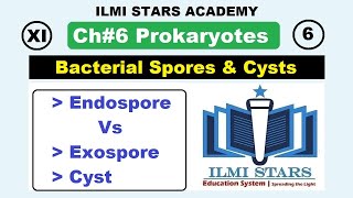 Bacterial Spores  Endospores and Expospores and Cysts Class 11 Biology Chapter 6 Prokaryotes [upl. by Rise76]