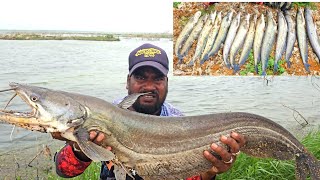 Singal Hook Se Wallago macli pakdna kaa Trika Buhl mass fish Wallago catfish Fishing  Fishing [upl. by Christis895]