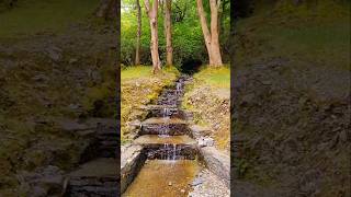 nature connemara ireland [upl. by Ainex]