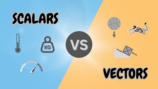 Understanding Scalars and Vectors [upl. by Jammie]