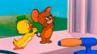 Tom and Jerry  Episode 90  Southbound Duckling 1955 [upl. by Richma]