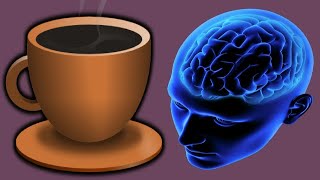 How Long Does Caffeine Stay In Your Body [upl. by Macpherson381]