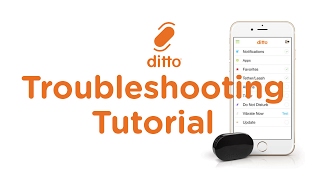 How To Reset Ditto  Ditto Troubleshooting Tutorial  Smallest Notification Wearable [upl. by Gibbie]