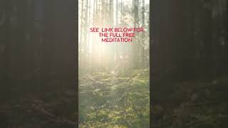 Powerful 15 Minute Grounding Energy Guided Meditation meditation calm peace relaxation chakras [upl. by Rehtae]