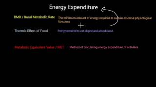 Energy Expenditure [upl. by Aker]