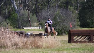 Denman Horse Trials 2024 including our AnEventfulLifeXCVideo [upl. by Sibeal]