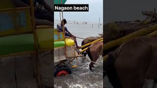 A day in Alibhag…viral shorts travel trending beach kokan youtubeshorts youtube monsoon [upl. by Enois894]