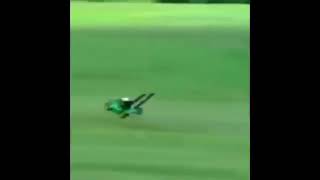 Flying Lawnmower meme [upl. by Gow]