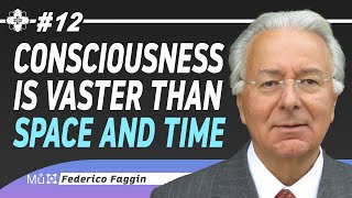 Federico Faggin on Idealism Quantum Mechanics Free Will and Identity [upl. by Annaeiluj189]