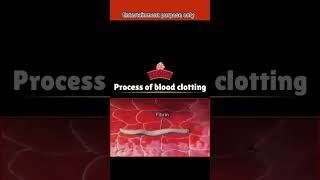 Process of blood clotting Ghaav kaise thik hota haidoctor bollywood motivation [upl. by Saxet]