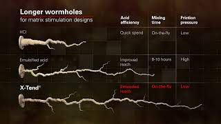 XTend® Acid Stimulation Service [upl. by Retxab471]