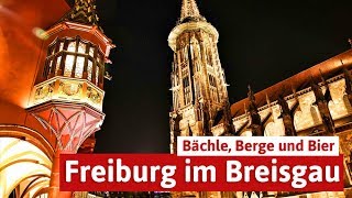 Freiburg im Breisgau  Bächle Bier und Berge [upl. by Ardys140]