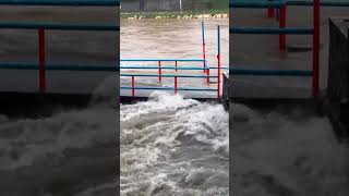 MARIKINA RIVER UPDATE  OCTOBER 24 2024 [upl. by Carlile]