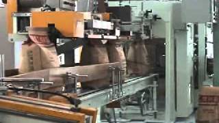 Automatic Bagging Machine [upl. by Nospmis]