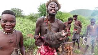 OMG HADZABE HUNTERS HAD A GOOD HUNT TODAY HADZABE TRIBE ORGINAL HUNTERS IN LAKE EYASI KARATU [upl. by Joslyn308]