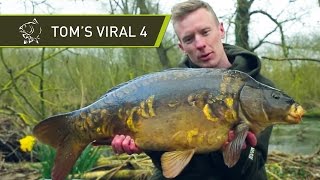 Carp Fishing Behind the Scenes at Nash Tackle  Toms Viral 4  Nash Groundhog Brolly and Ball Maker [upl. by Tterag760]