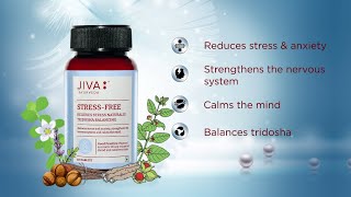 Benefits of Jiva Stress Free Tablets  Stress Management  Jiva Ayurveda [upl. by Atalaya]