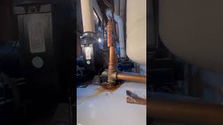 Can You Install a Thermal Expansion Tank Directly to the Water Heater [upl. by Leilah777]