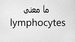 ما معنى lymphocytes [upl. by Peyter71]