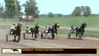 4TA CARRERA HIPODROMO DE CHIVILCOY 27102024 [upl. by Hussey799]