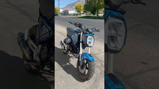 2023 Honda Grom with loud exhaust honda hondagrom grom grom125 motorcycle motovlog moto utah [upl. by Nylarad304]