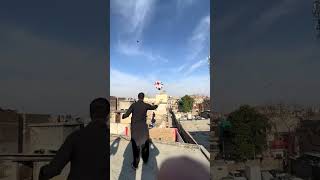 2025 kite festival kite flying  short shortvideo shortsviral youtubeshort ytviral ytstudio [upl. by Deth741]