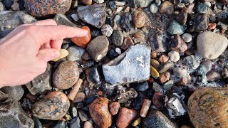 4k UHD Die beste Tour des Jahres  Fossilien suchen an der Ostsee [upl. by Natanhoj]