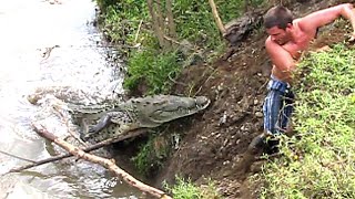 LifeEnding Crocodile Attacks MARATHON [upl. by Kellie73]