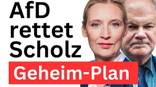 Keine Neuwahlen Scholz Vertrauen aussprechen Merz stoppen [upl. by Launce776]